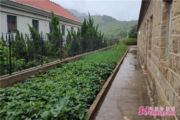  大山|记者在基层 | 一份来自大山深处的青春守望，一次洗涤心灵的“大山之旅”