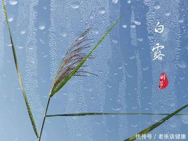 9月8号白露，有钱没钱记得：“1做，2喝，3吃，4注意”，健康过秋2023
