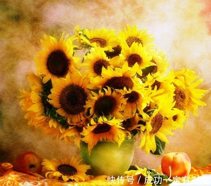 走心|经典走心的句子人生很多事，不是不懂，只是无奈，这就是生活