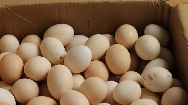  箱里面|鸡蛋不要放冰箱，教你保存小妙招，放三个月都不坏，省钱又实用