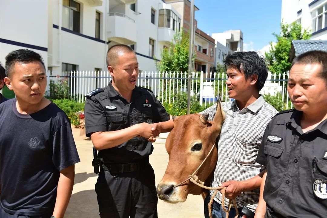 致谢|偷牛贼被抓!村民鸣锣舞狮致谢民警