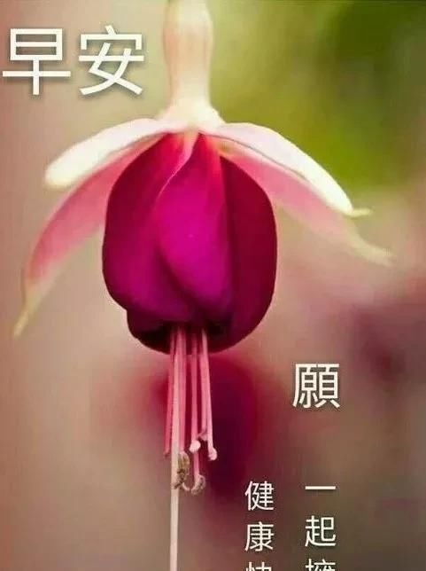  昨天|昨天，属于过去；明天，属于未来；今天，加倍珍惜，早安