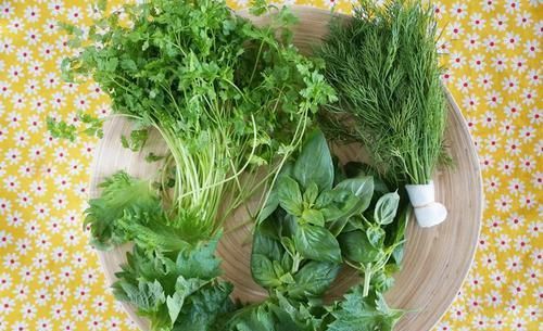 三大|风味大不同?认识三大香菜:芫荽、鸭儿芹、香芹