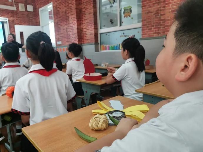 蔬菜|特色“餐前题”、节约报告、蔬菜头饰……普陀这些学校节约粮食有一套 ！