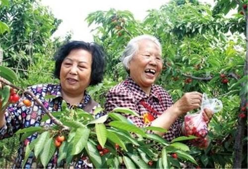 老人|“新型养老”悄然来袭，老人子女都自在，网友：老了就这么过