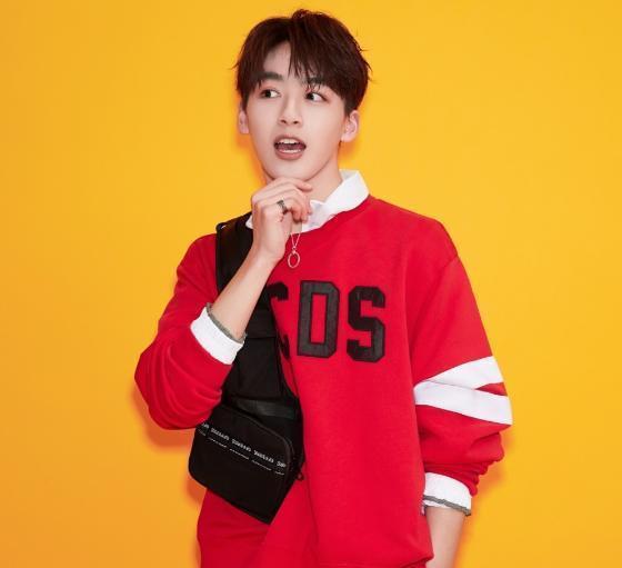  解散|火箭少女已解散，为何段奥娟还不参加高考，理由让大家感到气愤