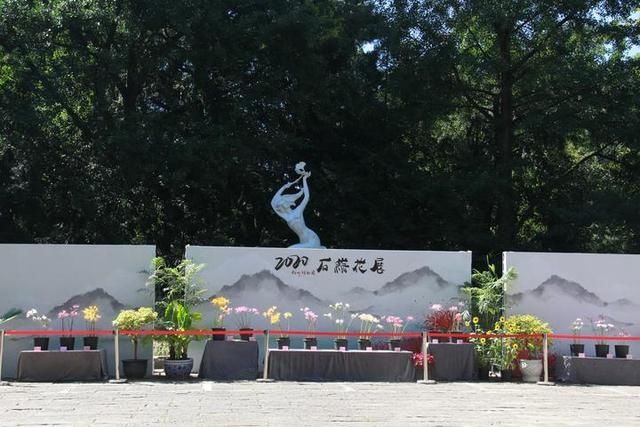  同步|美成梦中幻境！杭州这种花进入盛花期，2020植物园石蒜花展同步开启