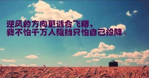 高于|为什么农村光棍高于城市光棍，因为没钱？因为现代姑娘太挑剔？