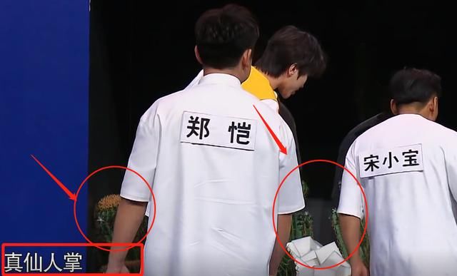 看清|跑男游戏恶搞嘉宾团,看清蔡徐坤的惩罚道具,说好的团宠优待呢?