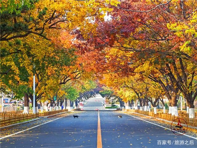  太阳沟|充满诗情画意的景点，《夏洛特烦恼》的取景地，忘记时间的地方