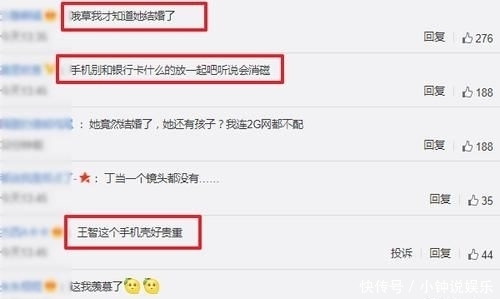节目|乘风破浪的姐姐王智手机壳走红,塞满银行卡,网友:不会消磁?