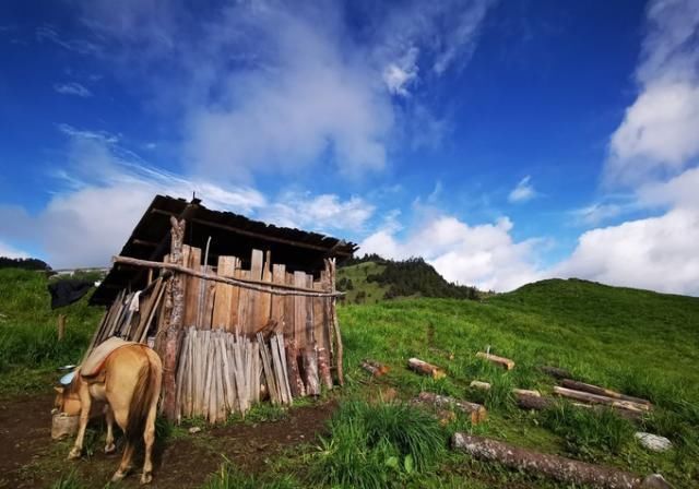 攻略|无深度不云南——丽江巴拉神山徒步穿越攻略