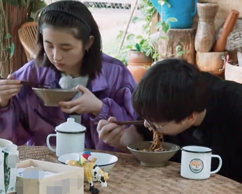 翻车|黄磊做饭成“翻车现场”,绿色的小葱直接炸成黑色,这谁吃得下去