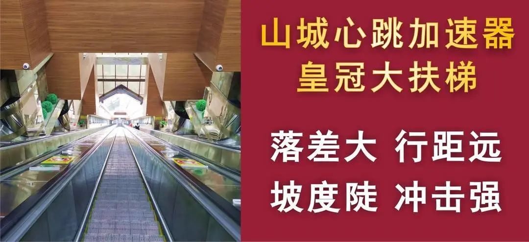 女子打卡“网红”扶梯不慎摔倒，瞬间跌落十余米