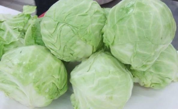  菜含有丰富|包菜别再干炒了，教你一个新吃法，上桌分分钟抢光，学到就是赚到