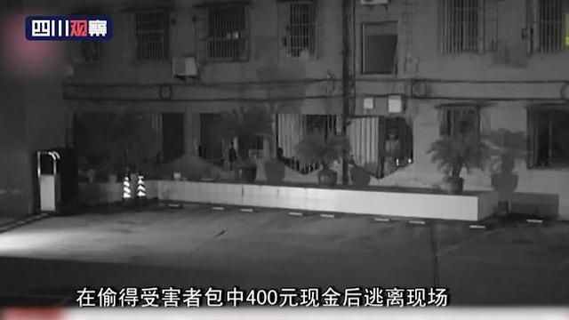  男扮女装|奇葩窃贼男扮女装 多次入户盗窃终被抓