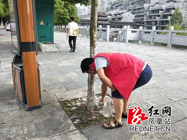 服务|凤凰县城投办开展“文明交通、文明旅游”劝导志愿服务活动