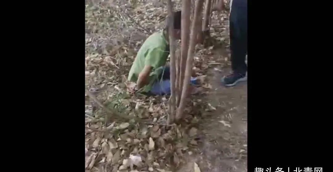  西乡塘公安分局禁毒|甘蔗地里上演惊险追击战！结局是......