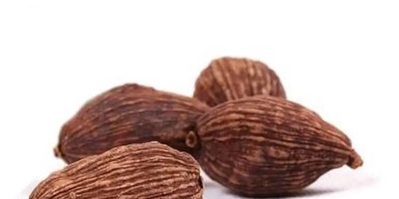  拉下水|THE9女团又惹祸, 谢可寅把草果当罂粟, 队友险被她拉下水