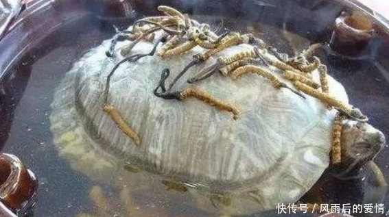 吓人|这4道菜已经被禁了,即使做出来你们不一定能吃得下,真的很吓人