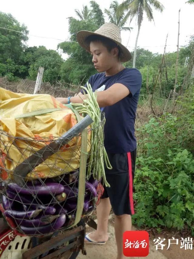 圆梦|父子在不同的“战场”拼搏 临高农村小伙高考711分终圆梦