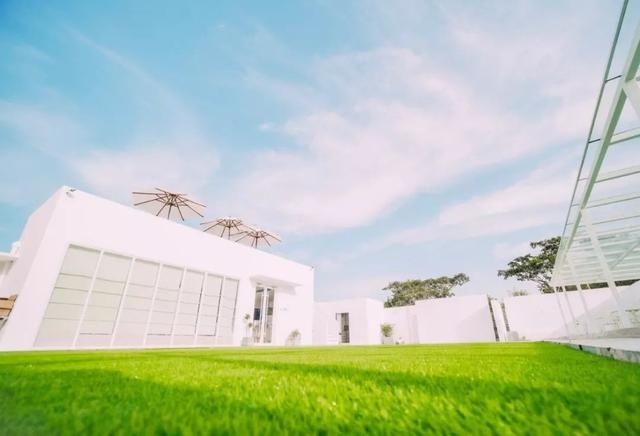 避开|避开热浪,去哪里?