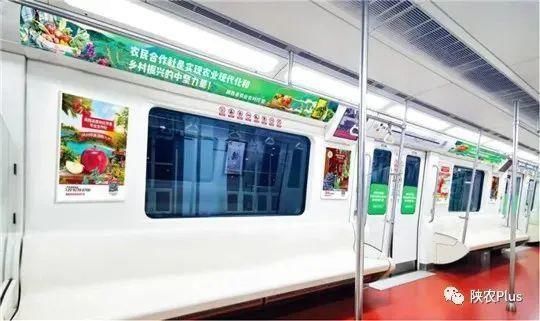 户外媒体|嫌户外媒体老土？那是因为你们没看到他们这样玩！