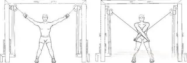  胸肌|男人胸肌锻炼指导