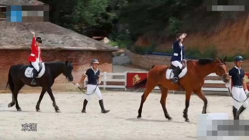  嘉宾|《奔跑吧》节目中首次，男嘉宾遭导演怒怼，女嘉宾却又怒怼男导演
