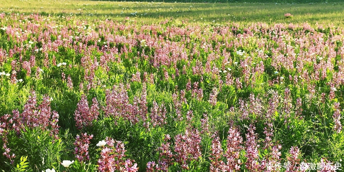  诗人|17岁的白居易参加科举考试，写下平生得意之作，震惊了大唐文坛