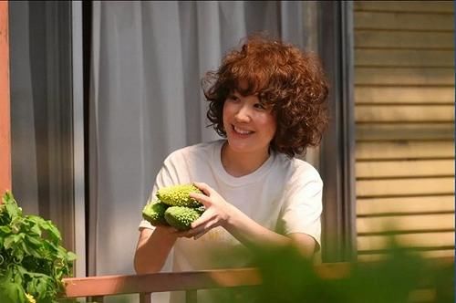  剧集市场|《以家人之名》火了，治愈系能救国产家庭剧吗？