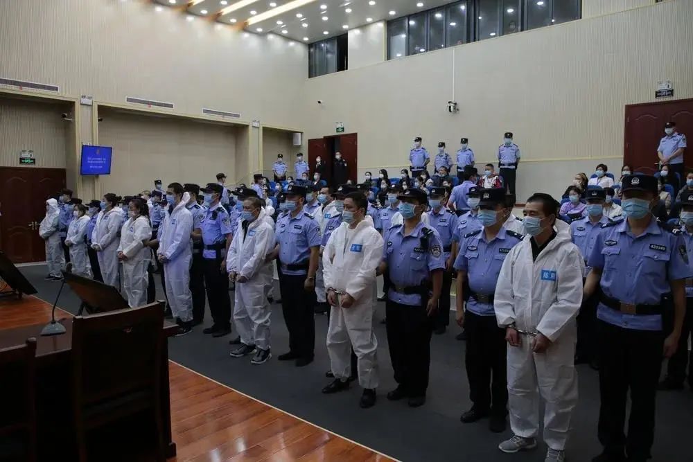 判处|最高判处二十五年,以商养黑、以黑护商,陆某兵等人一审宣判