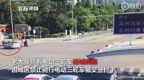 老人|7旬老人卖鹅违章交警全部买下