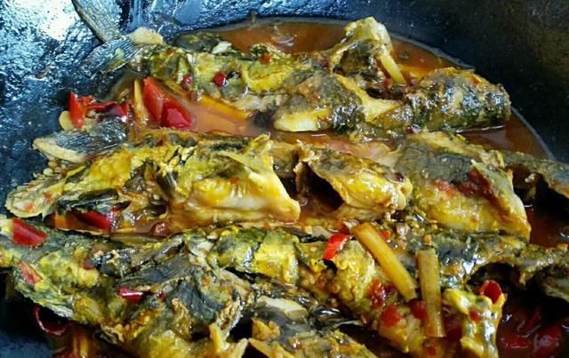  肉质|此鱼现在很“少见”，无鳞无刺肉质特别鲜嫩，遇到就多买