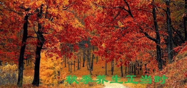  立秋|立秋，即将进入3个月的秋季养生时节，你准备好了吗？