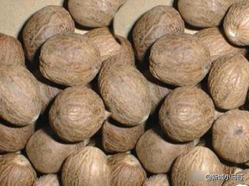 常见|二十种常见香料怎么用?一次性全告诉你!还有卤肉配方,值得收藏