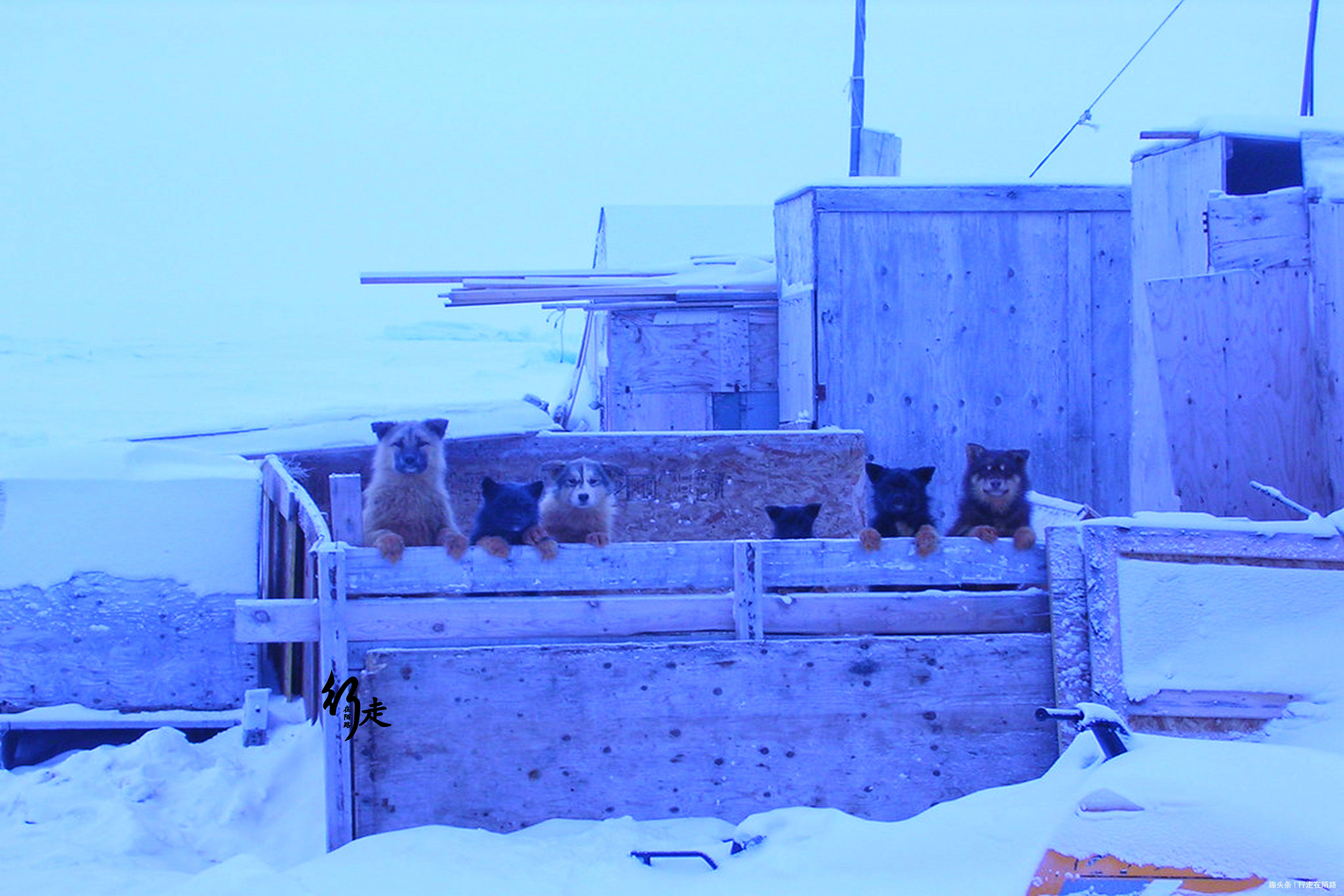 全球|全球最大行政区350万平方公里仅4万人口,8户人被骗57年