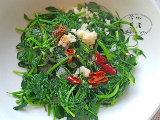 营养价值|春天碰到这野菜别犹豫,我一买就是20斤,营养价值高,常吃身体好