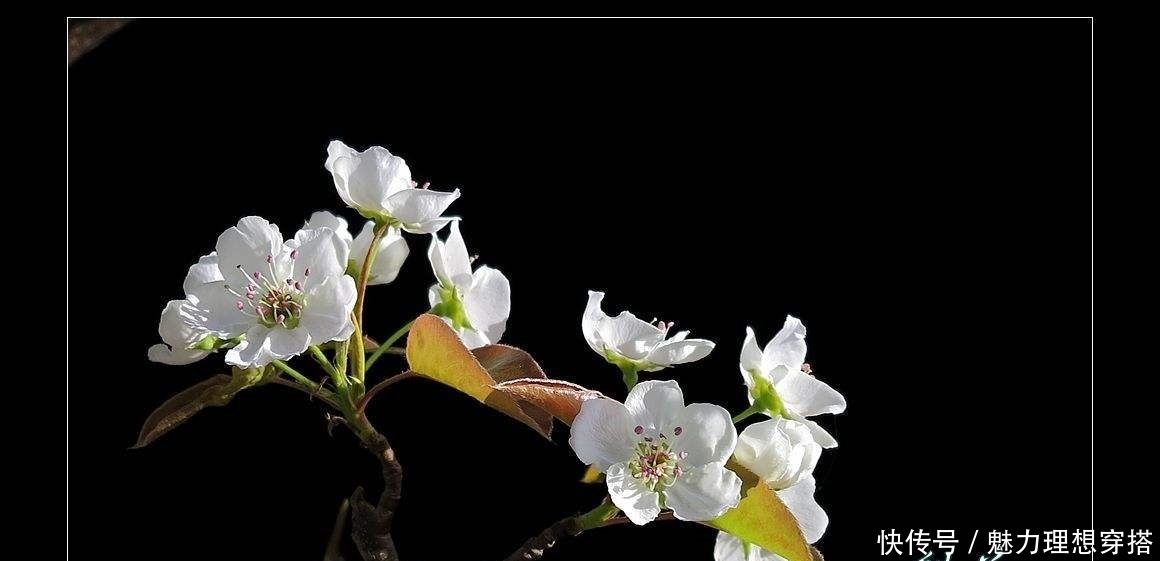 到底|和一个比自己小20岁左右的对象结婚,到底好不好?