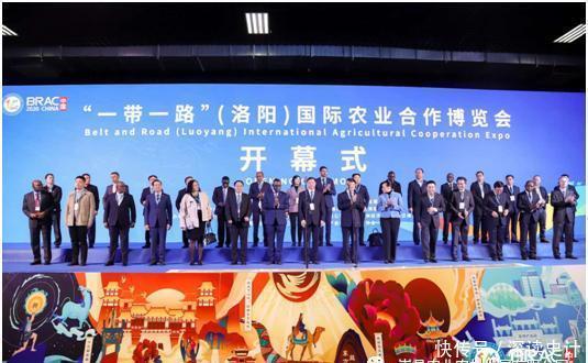 农产品|“嵩上好礼”——农产品区域公用品牌发布会