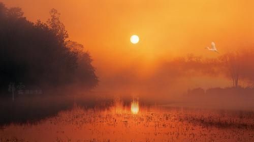  不好|谁也说不好，来也挡不住，缘分是否真实存在？它到底是怎么回事？