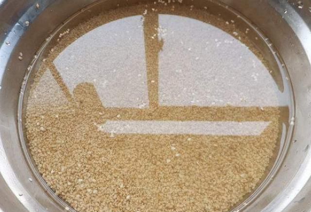  五谷|“它”是五谷之首，每天一两勺补钙又抗衰老，好处多到你想不到