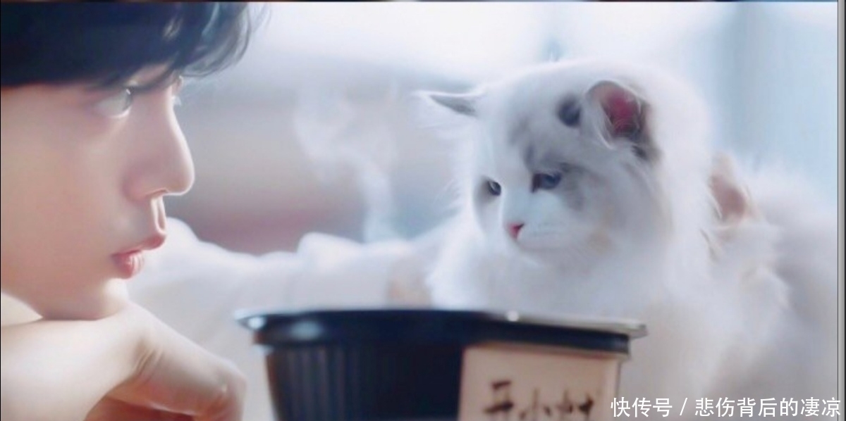 肖战|“金主爸爸”给肖战大礼,肖战语录上线!粉丝:看哭了,错过也哭