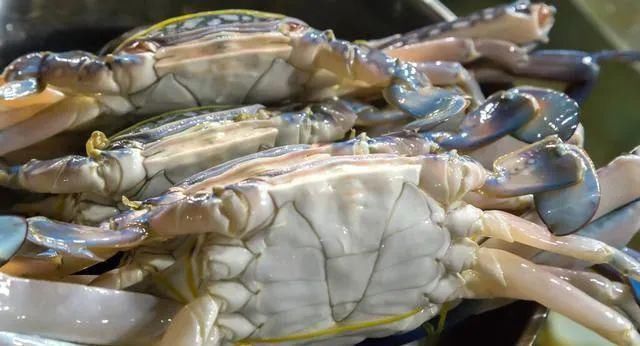 入味|蒸螃蟹时，直接上锅蒸就废了多加这1步，蟹肉鲜嫩入味不流黄