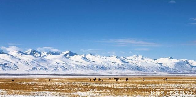 砸锅卖铁|中国砸锅卖铁收复的一个省,历时7年,现发现7000多万吨宝藏