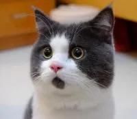  指甲|懵了！西瓜一口咬下去，男子竟吃出“塑料膜”？指甲都掐不断