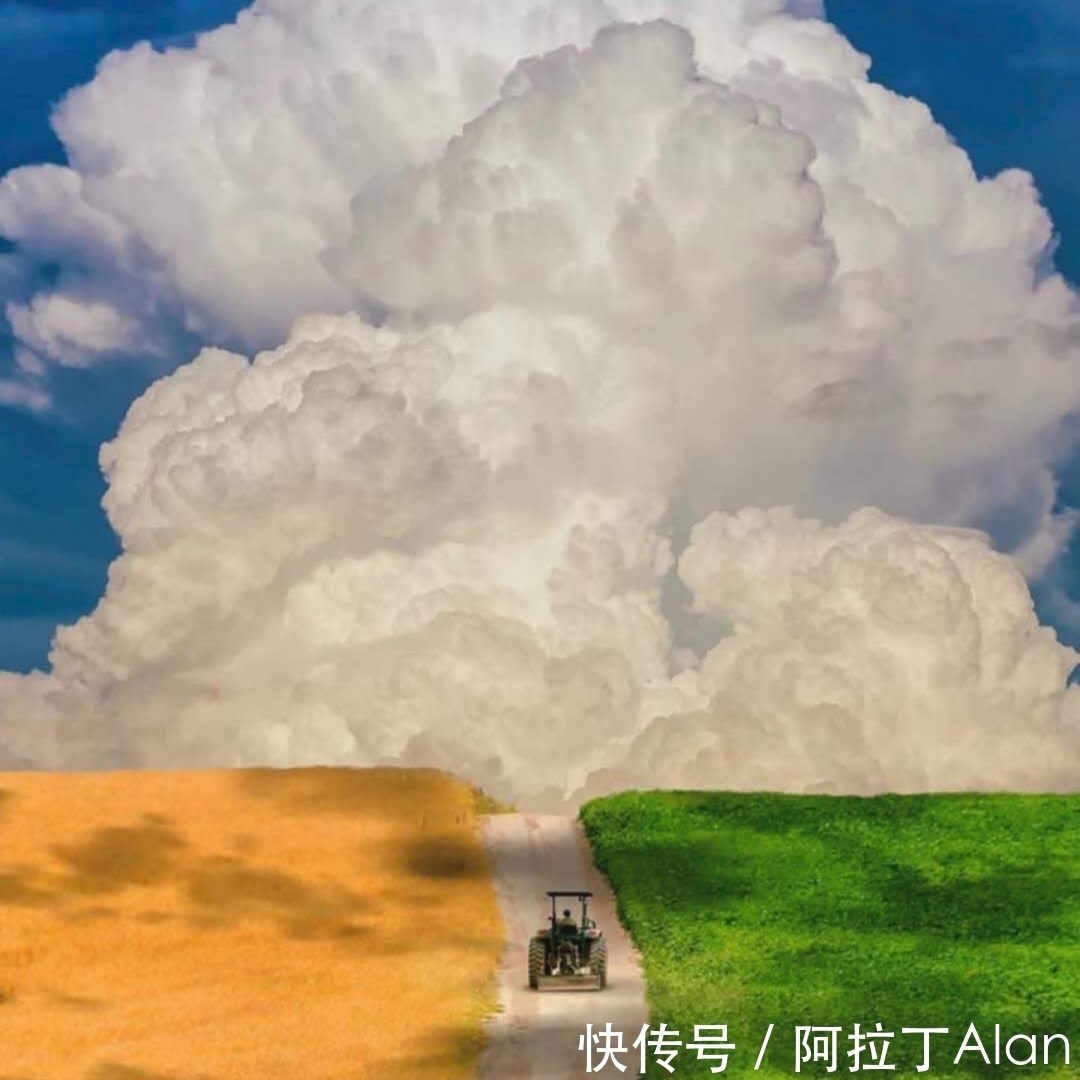 孩子|被任性蒙蔽的双眼,让我丢失了亲情!