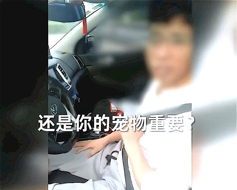  超速|男子超速被拦停，打开车门交警无语，你这是“猫刹”？