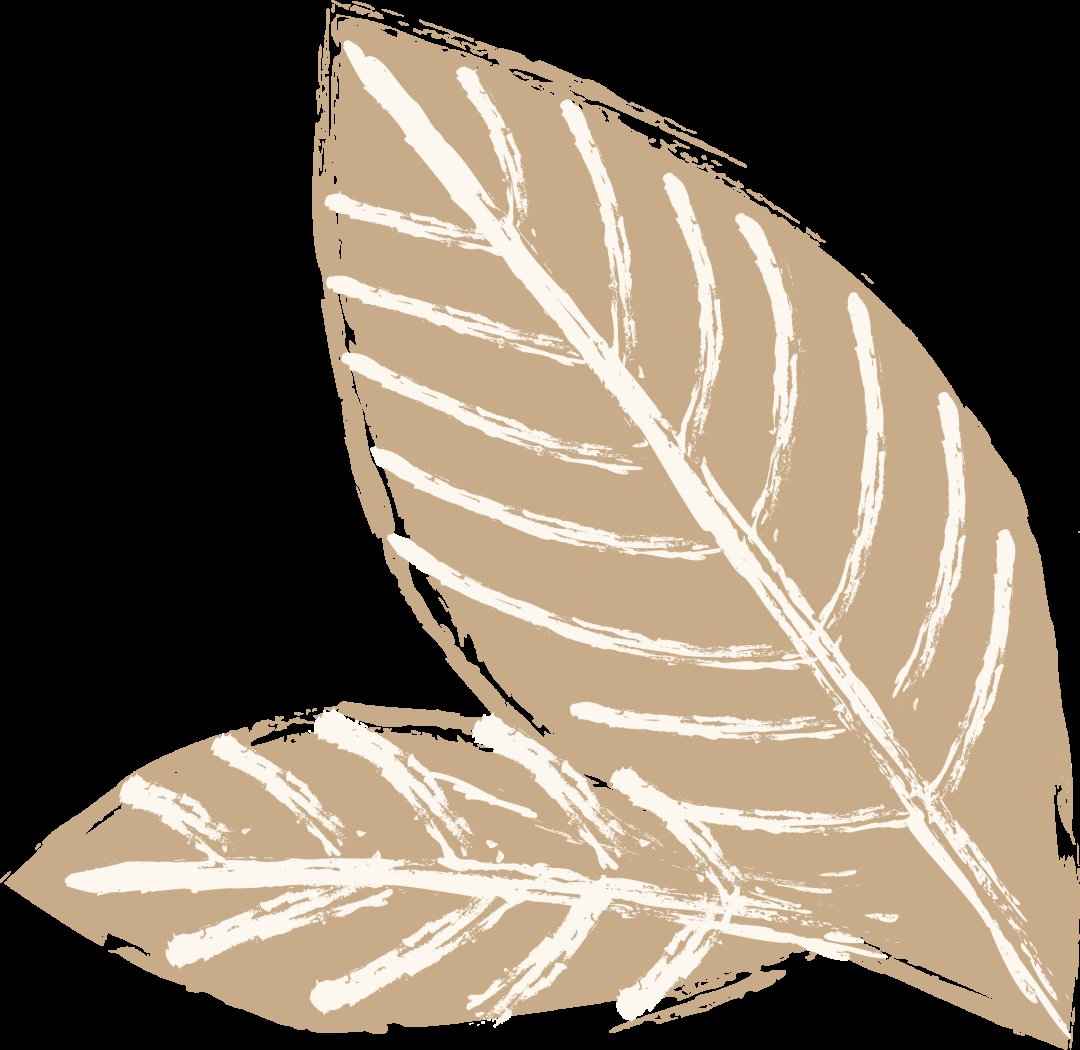 消费|案例 | 不翼而飞的那些钱，去哪了？