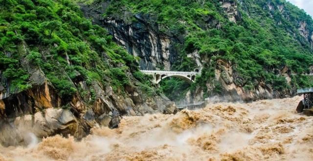 红盆|洪水爆发,母亲让狗坐大盆里儿子去趟水,网友:到底谁是亲生的?